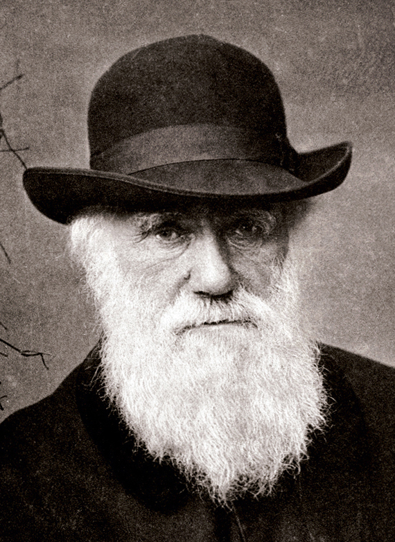 Charles Darwin v. 1881. Kuva: Wikipedia.