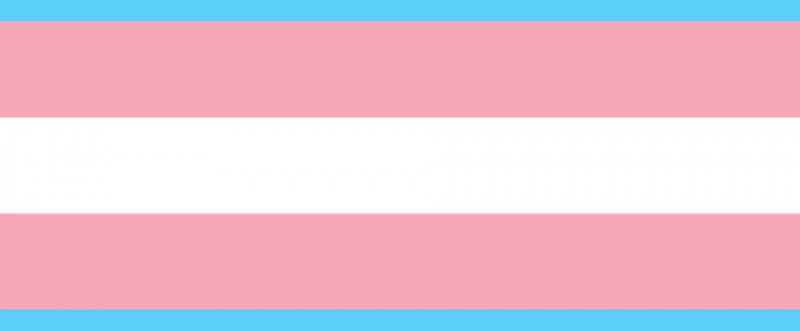 ransgender Pride Flagin on suunnitellut Monica Helms vuonna 2000. Kuva: Wikipedia.