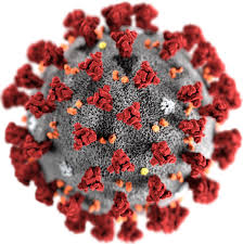 Koronavirus. Kuva: Wikipedia.
